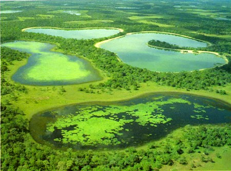 Vista aérea do PANTANAL